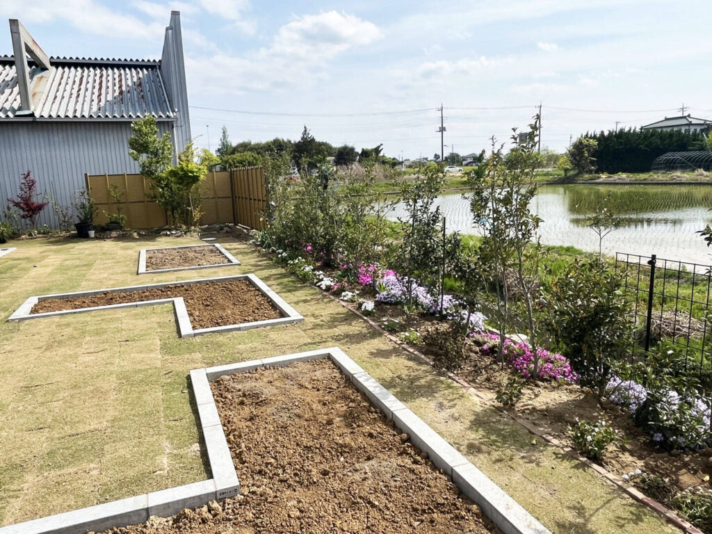 お庭の芝生と植栽