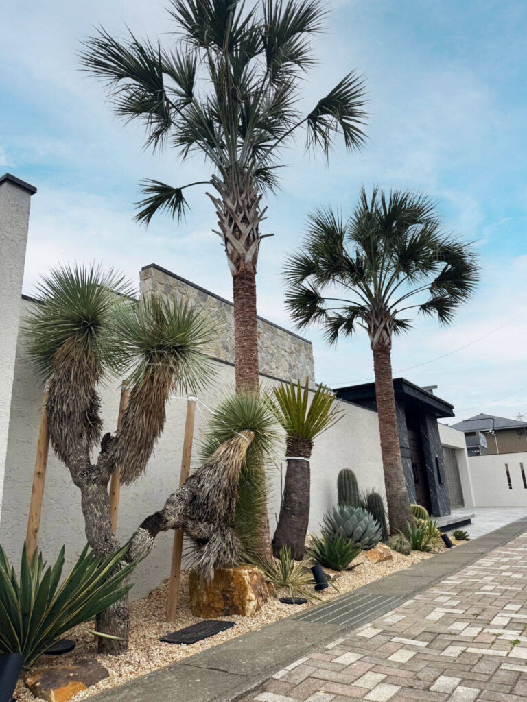 ユッカやヤシなどの植栽で南国リゾートを思わせるロックガーデン