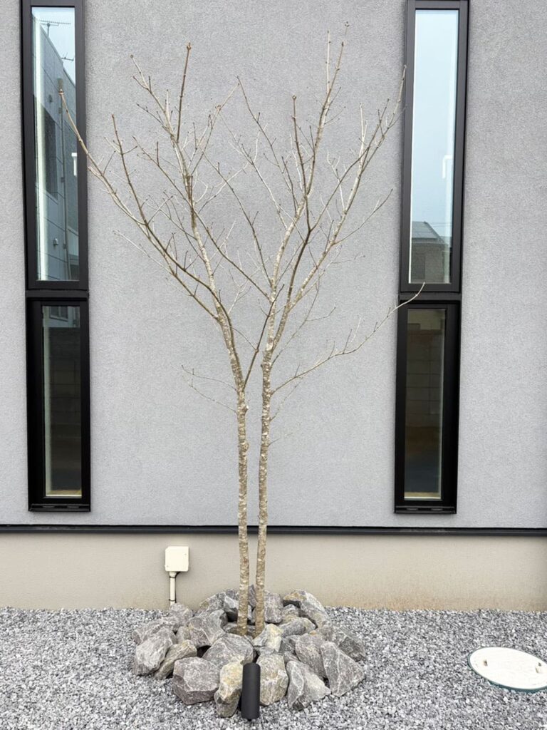 落ち着いた雰囲気を演出するロックガーデン